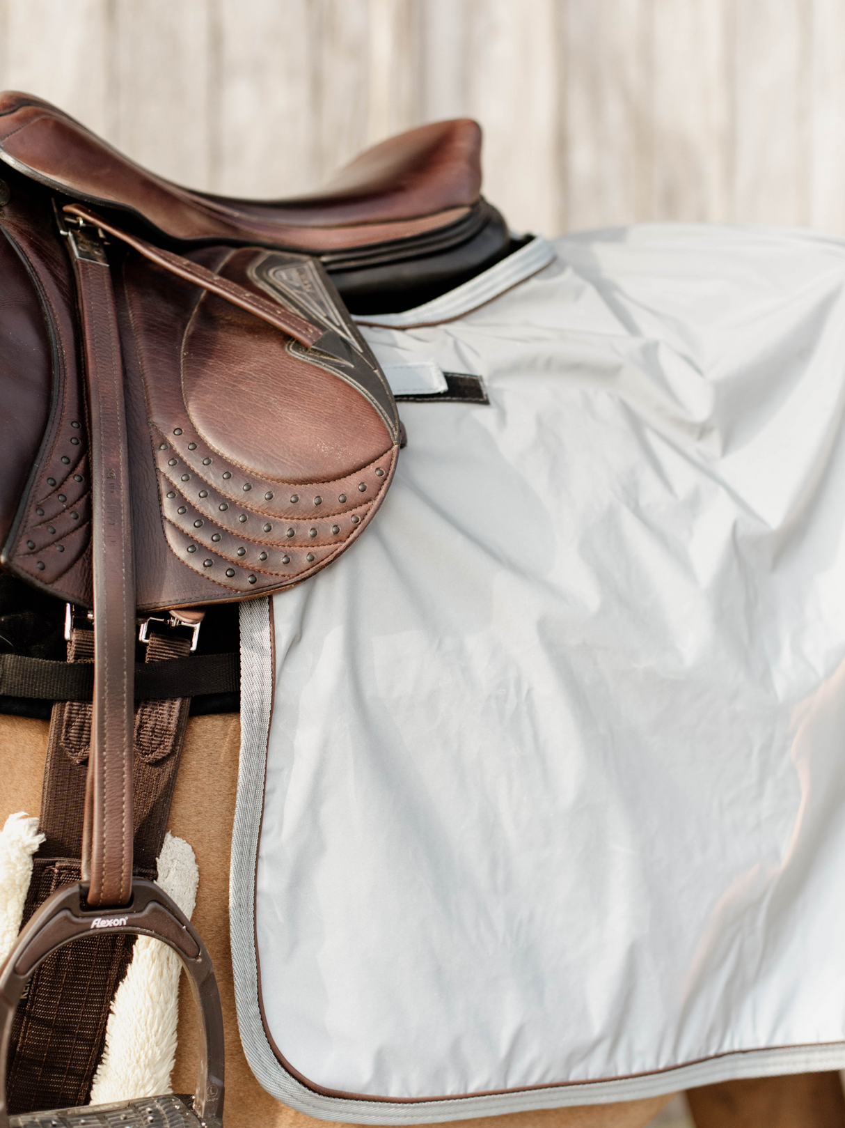 Kentucky Quarter Rug Reflective