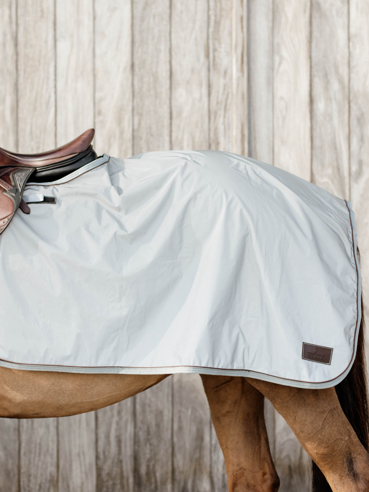 Kentucky Quarter Rug Reflective