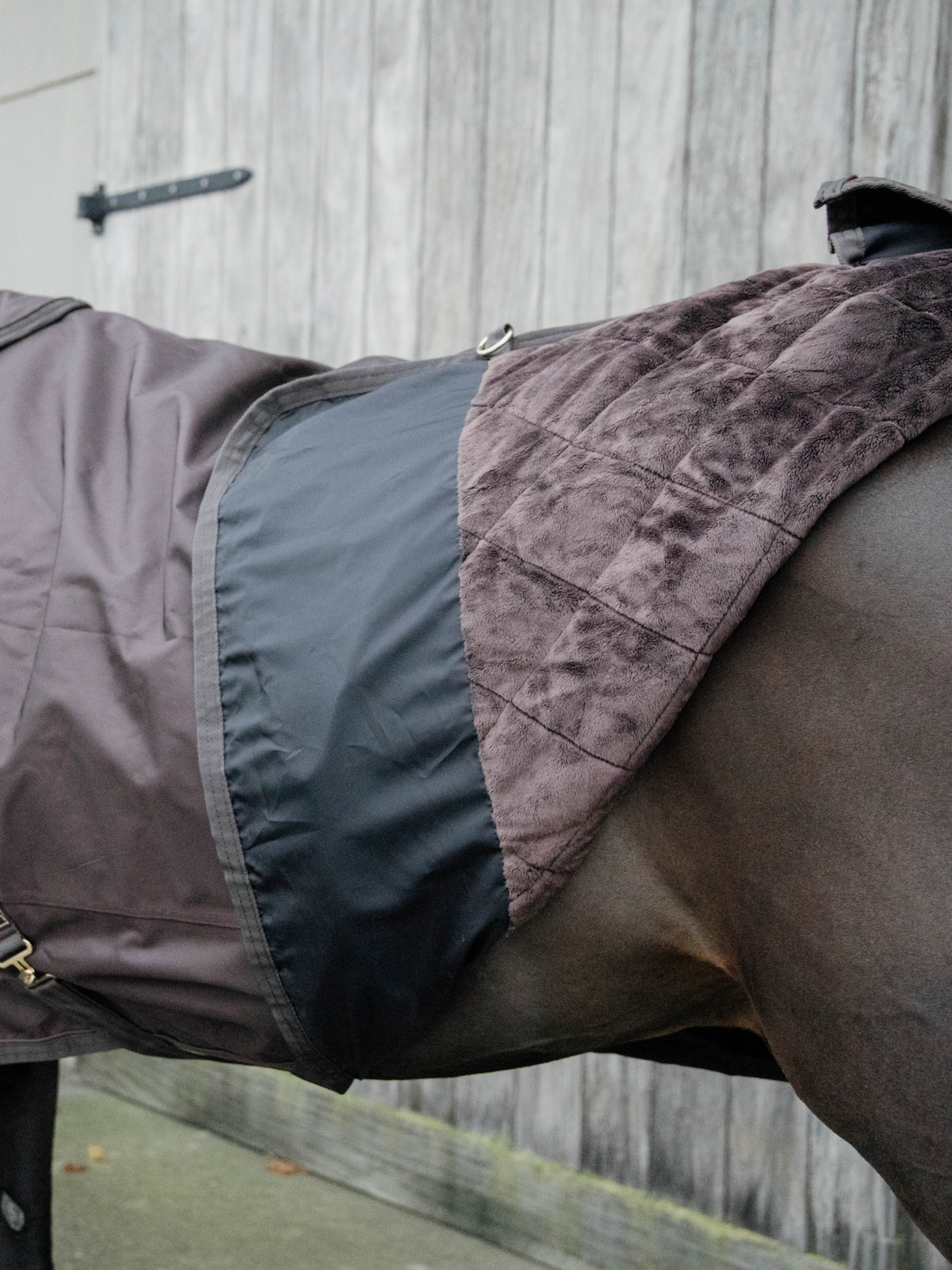 Kentucky Turnout Rug All Weather 160g Brown