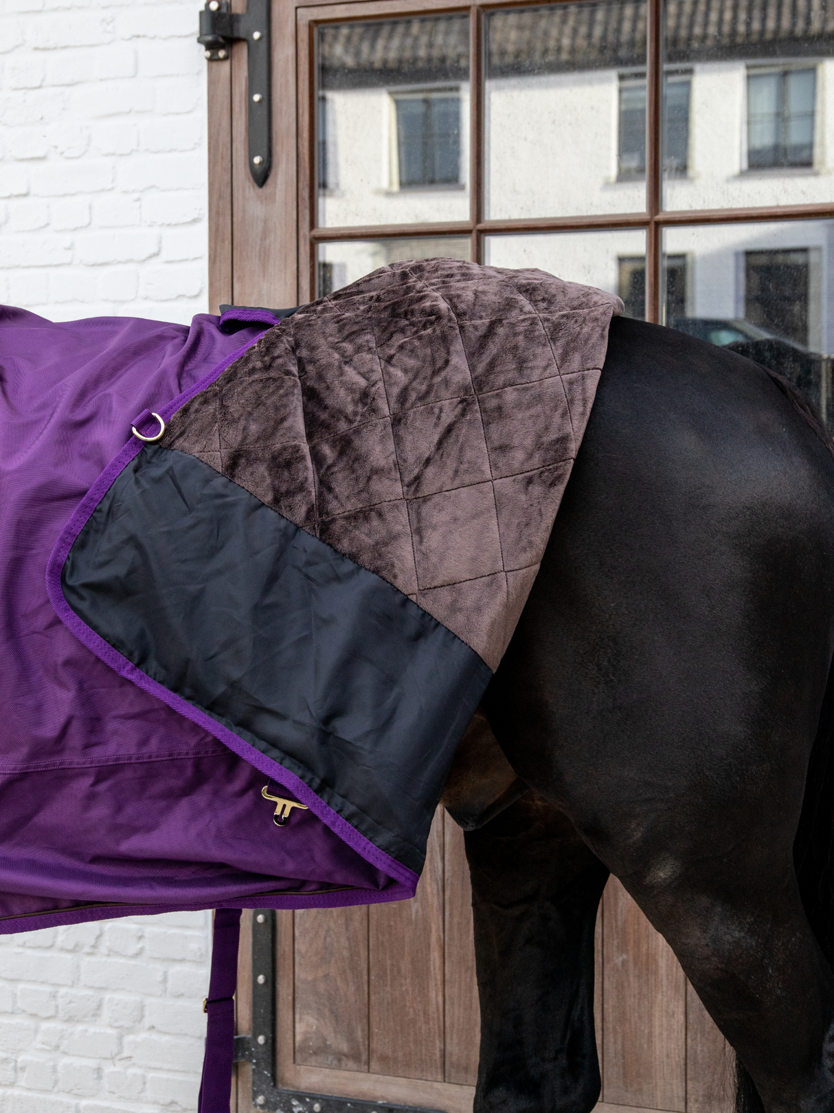 Kentucky Turnout Rug All Weather 160g Royal Purple