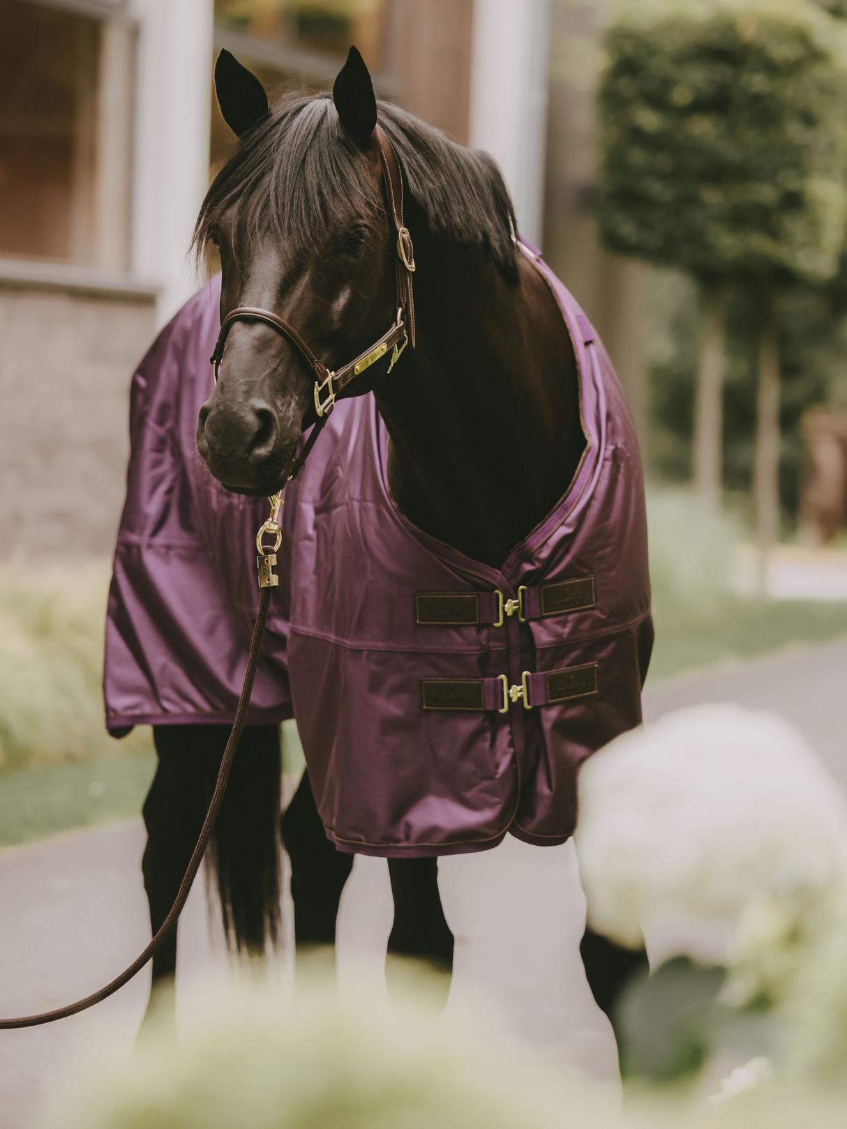 Kentucky Turnout Rug All Weather 160g Royal Purple