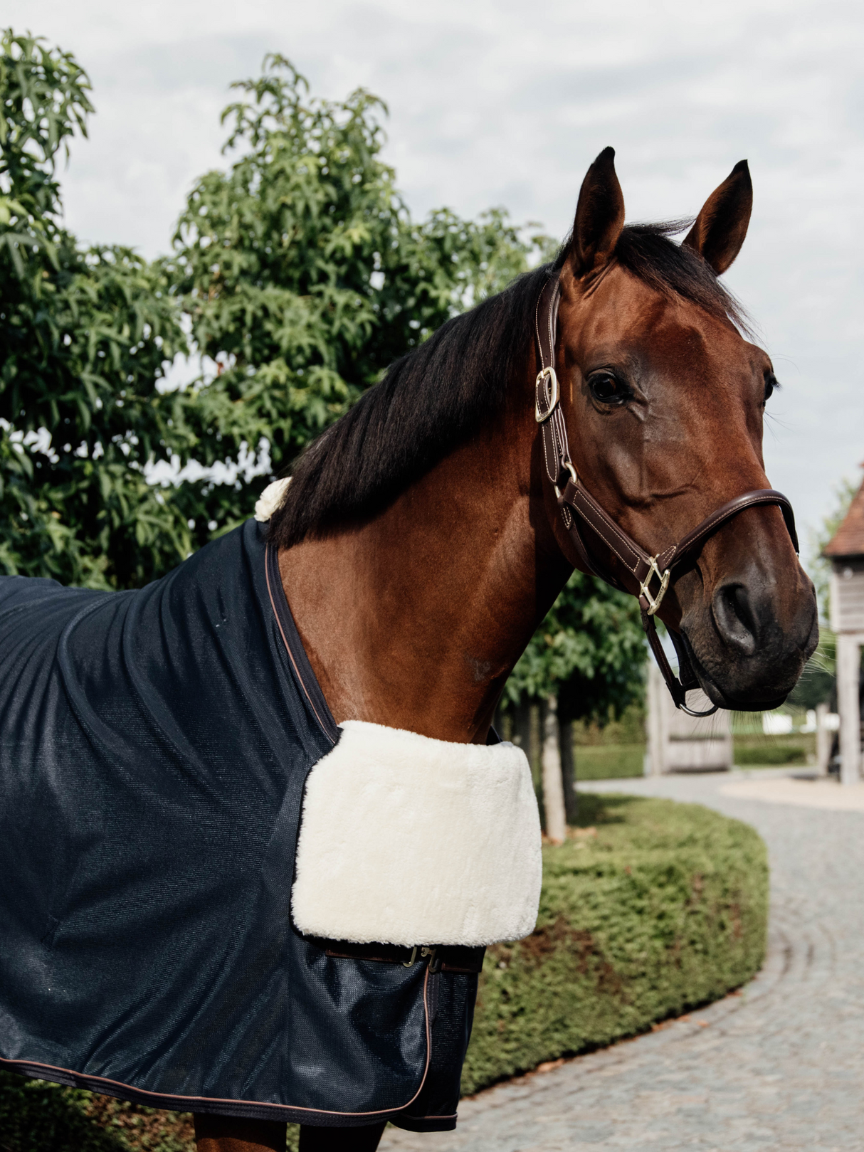 Kentucky Horse Bib Chest Protection Natural