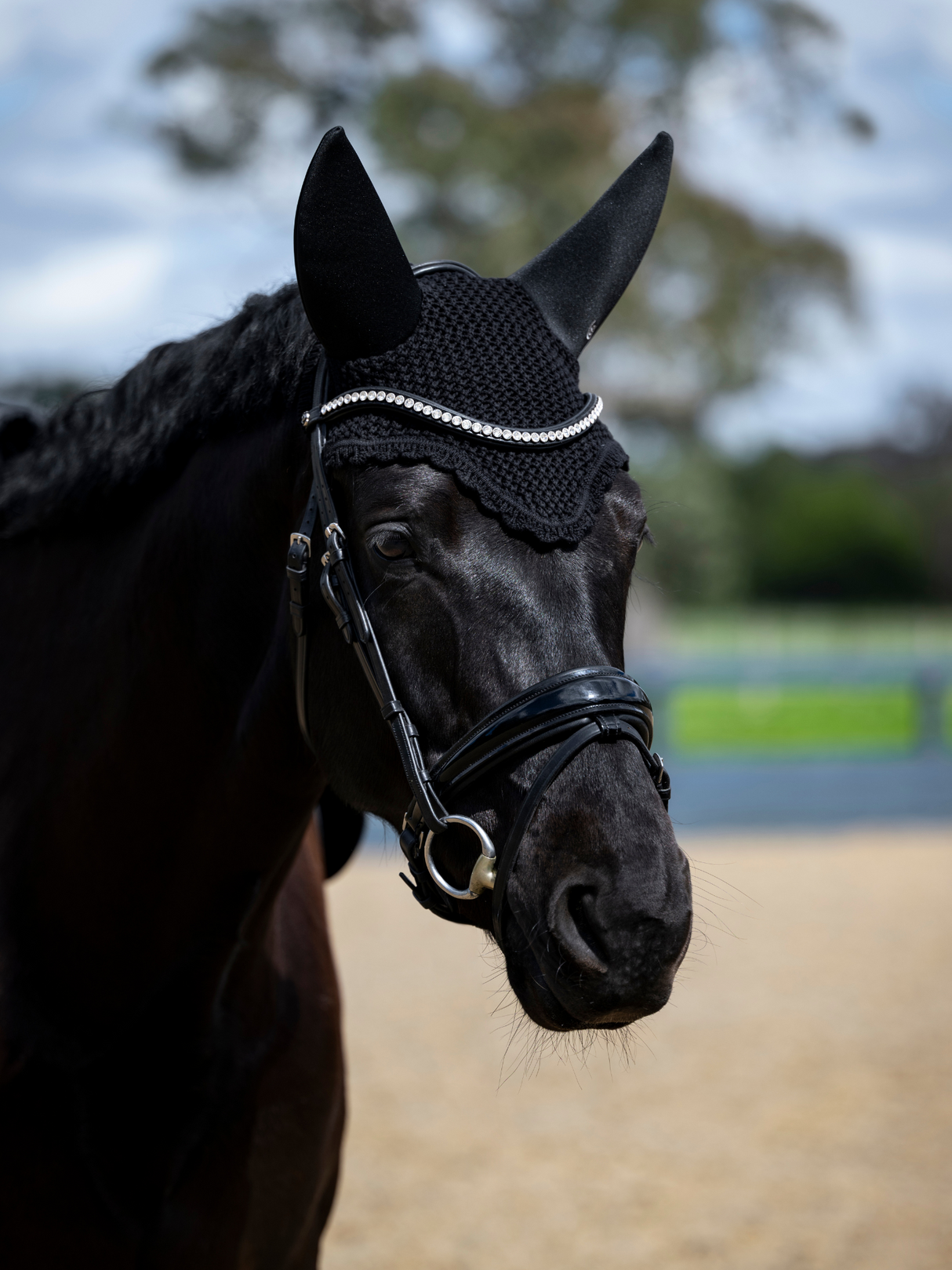 Equestrian Stockholm Padded Ear Bonnet Clean Black
