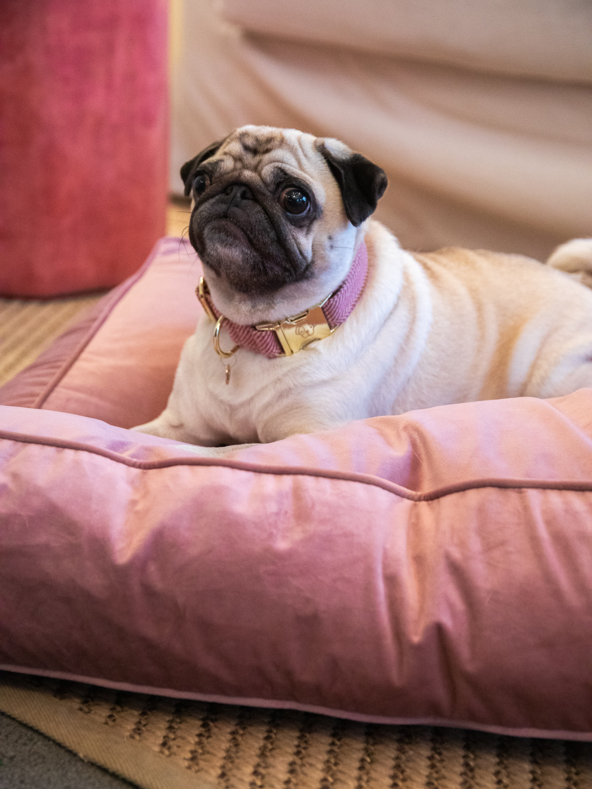 Kentucky Velvet Dog Bed Pillow Old Rose