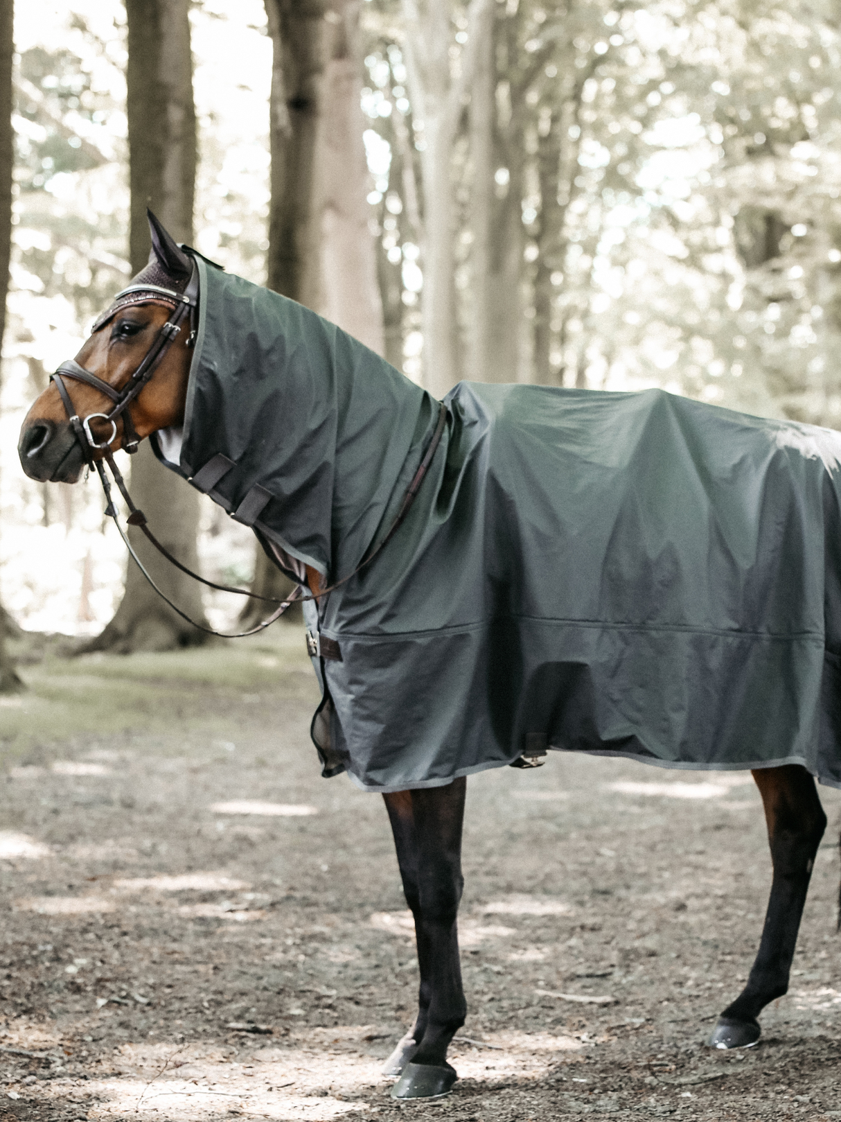 Kentucky Hurricane Rain Coat Rug Grey