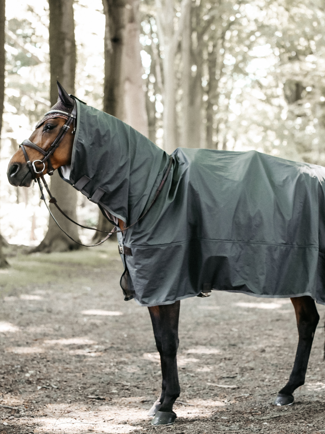 Kentucky Hurricane Rain Coat Rug Grey