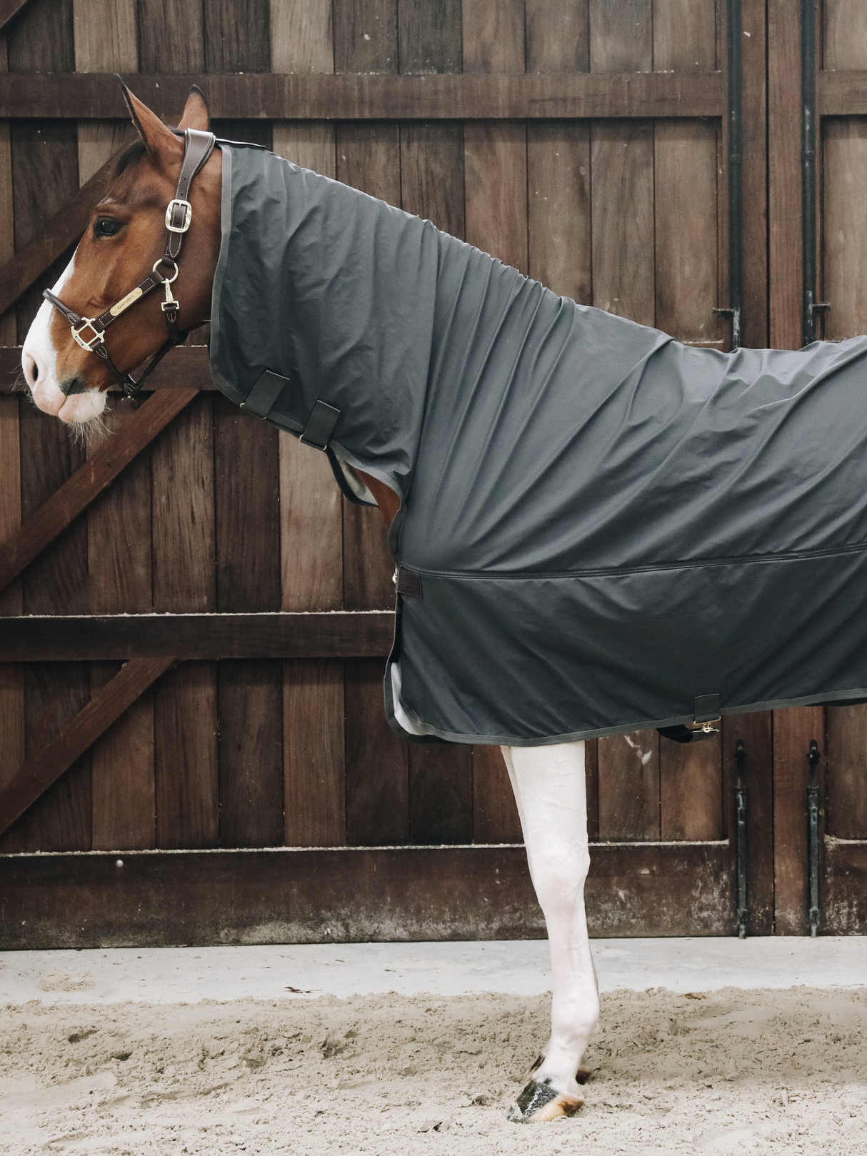 Kentucky Hurricane Rain Coat Rug Grey