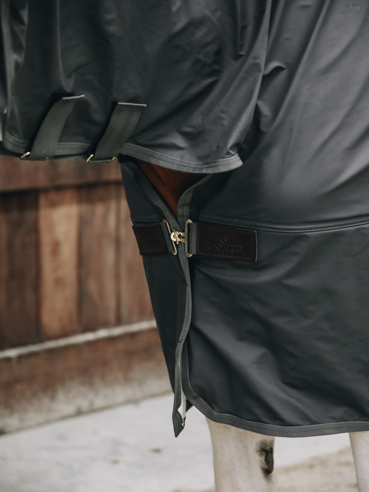 Kentucky Hurricane Rain Coat Rug Grey