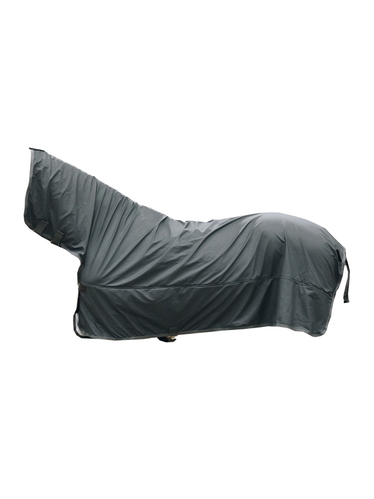 Kentucky Hurricane Rain Coat Rug Grey