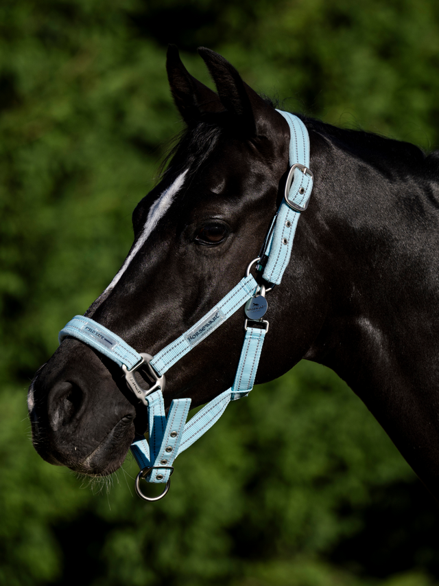 Horseware Field Safe Headcollar Blue Haze