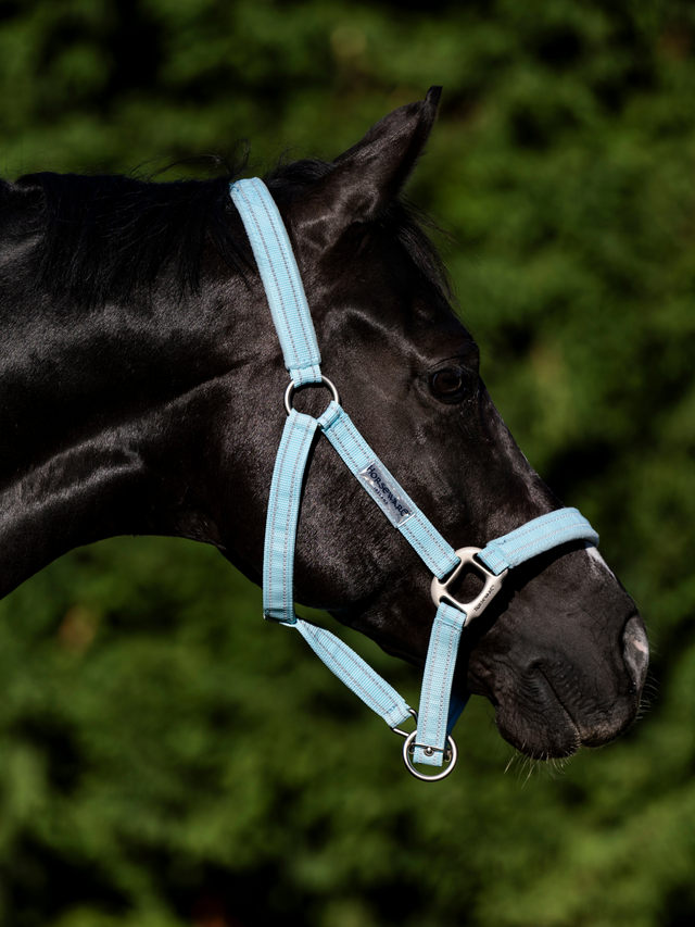 Horseware Field Safe Headcollar Blue Haze