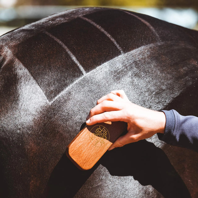 Hairy Pony Quarter Mark Brush