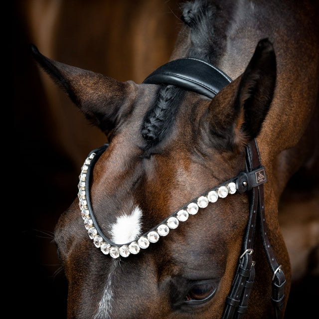 SD Design Valentino Browband Clear