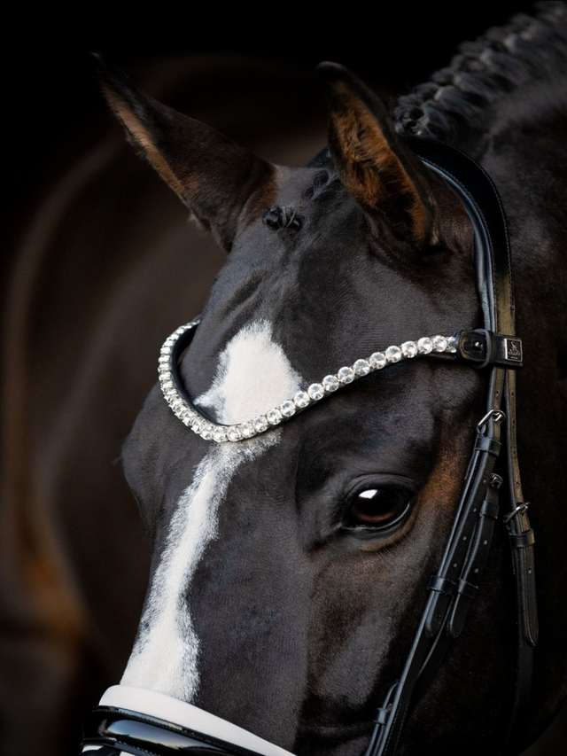 SD Design L Únique Browband Crystal
