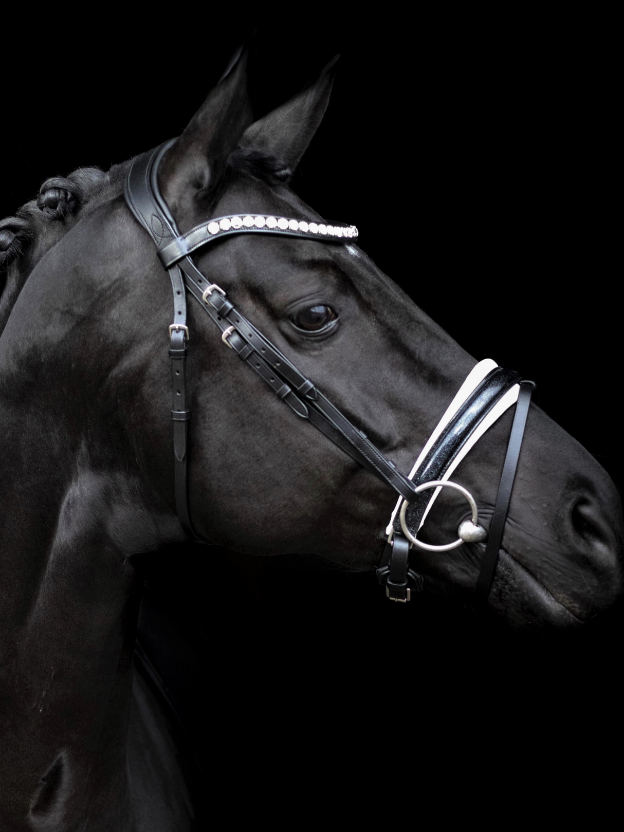 SD Design Mystery Bridle