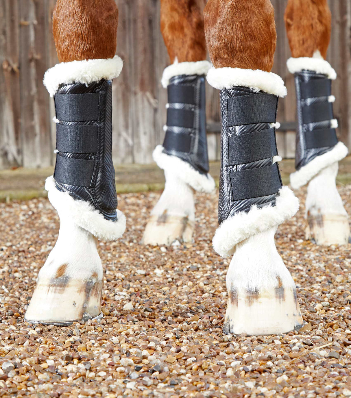 Premier Equine Techno Wool Brushing Boots Black