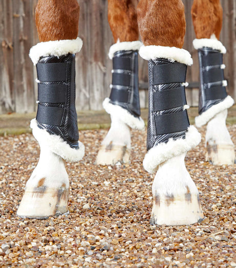 Premier Equine Techno Wool Brushing Boots Black