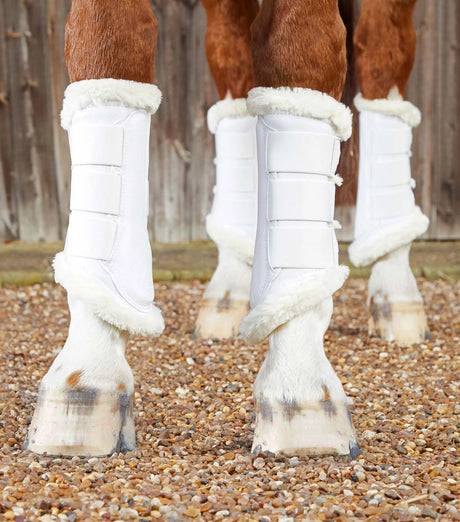 Premier Equine Techno Wool Brushing Boots White