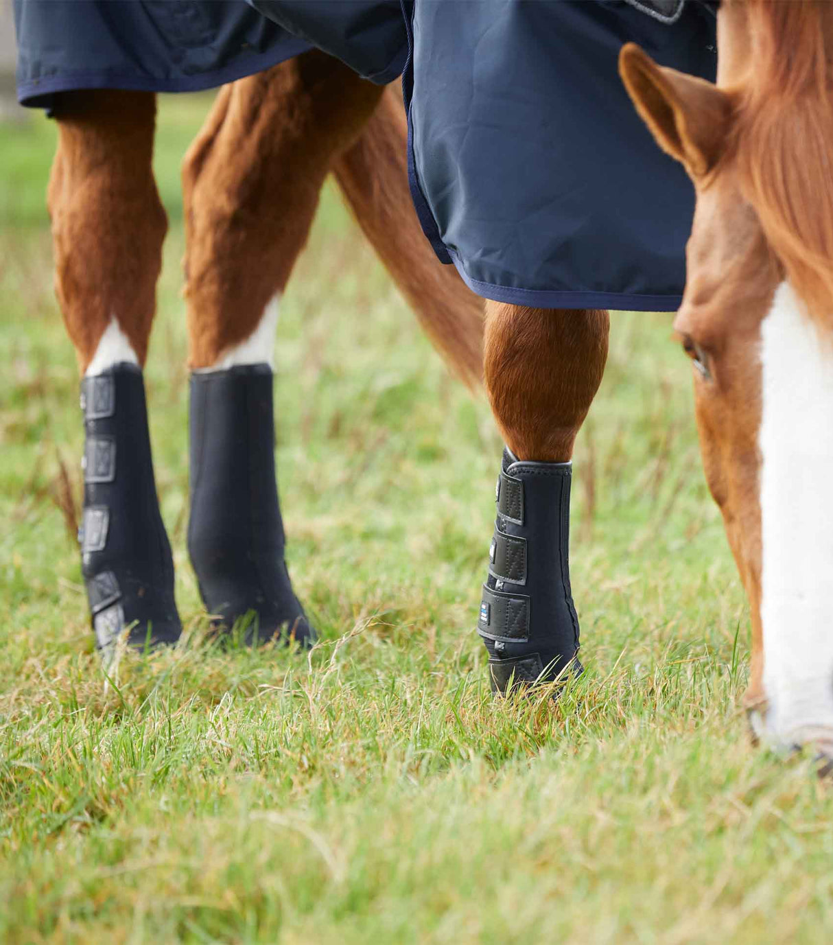 Premier Equine Turnout Mud Fever Boots