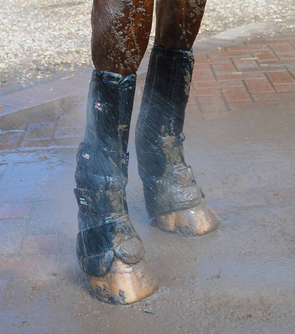 Premier Equine Turnout Mud Fever Boots