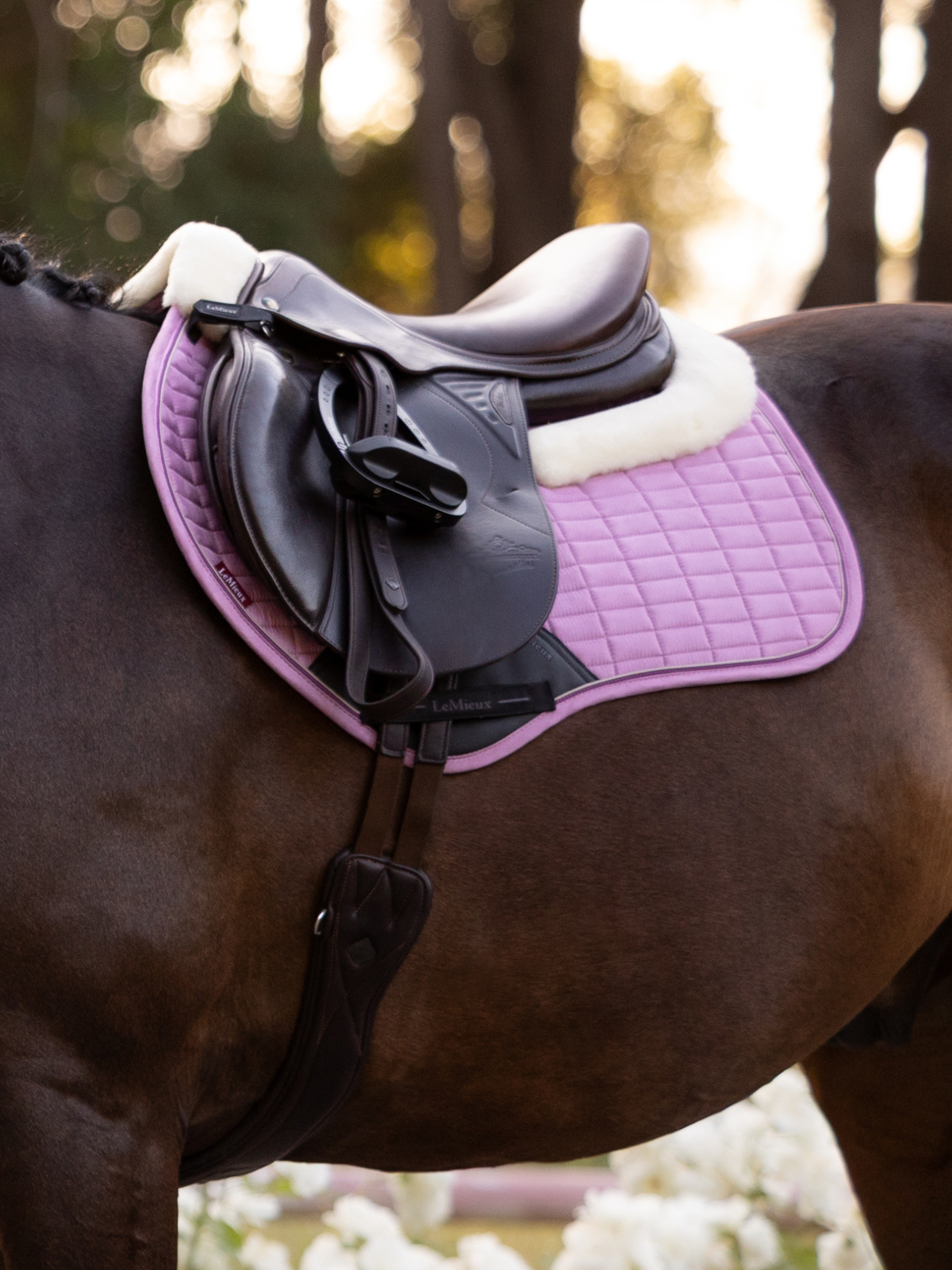 LeMieux Merino+ Suede Close Contact Saddle Pad Fondant