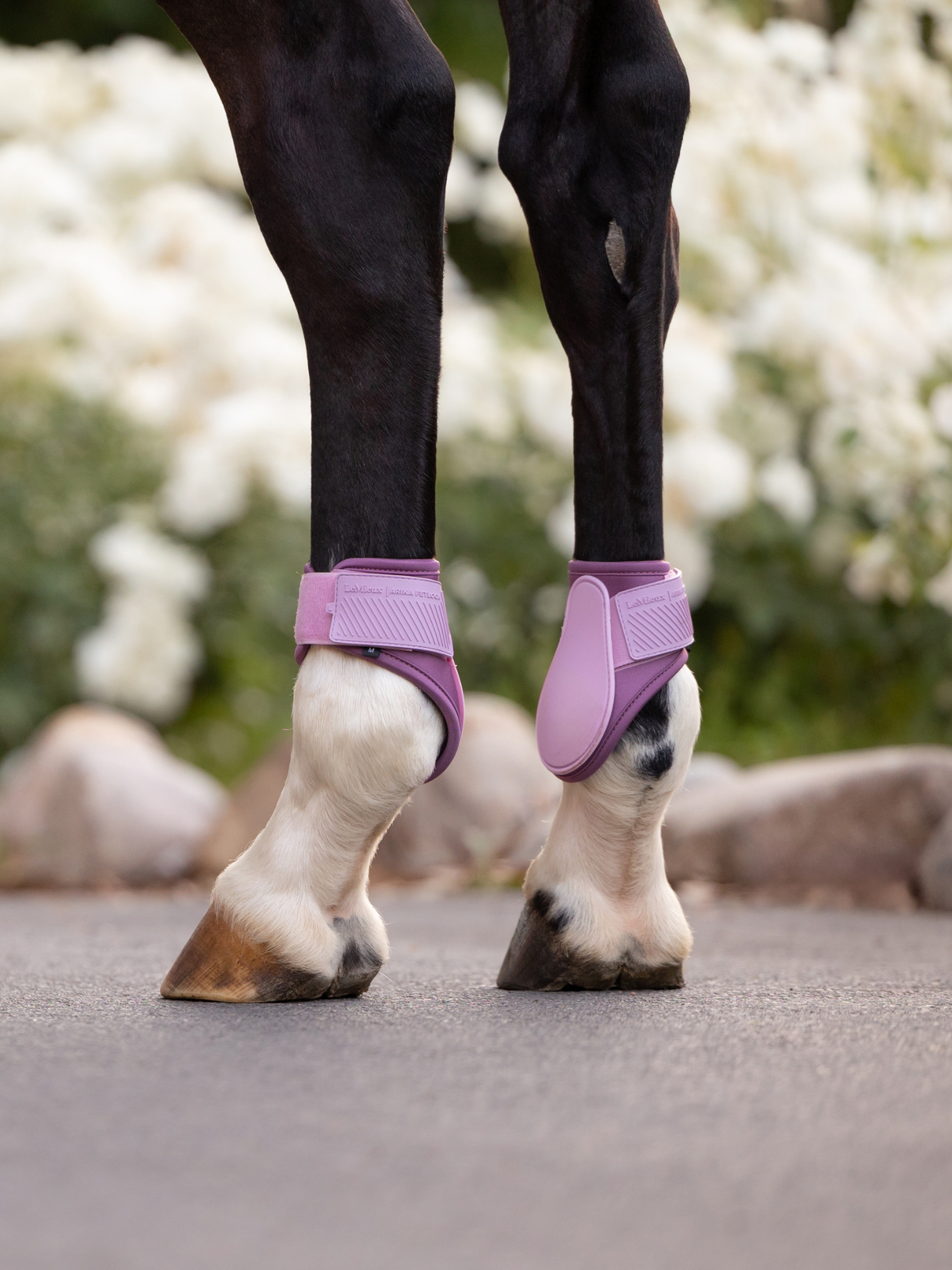 LeMieux Arika Fetlock Boots Fondant