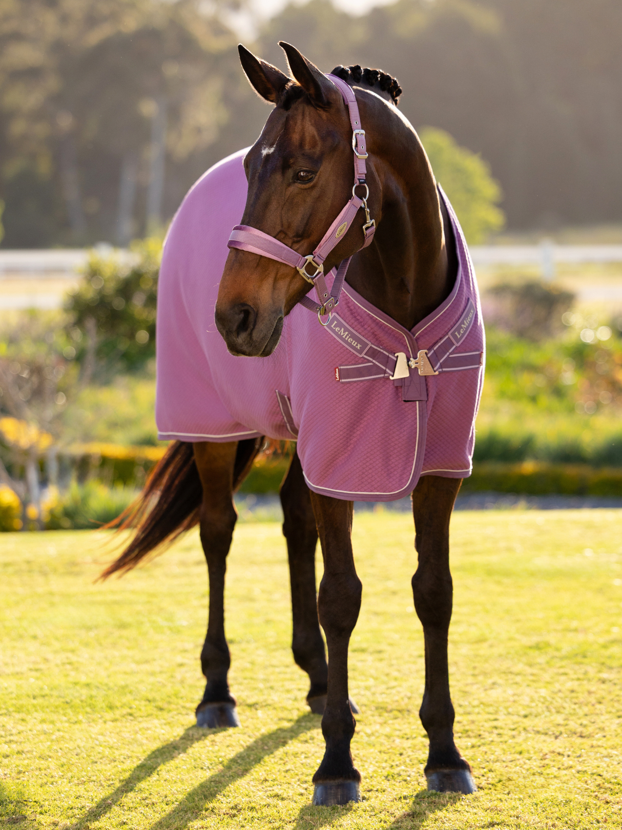 LeMieux Kudos Bamboo Cooler Rug Mallow