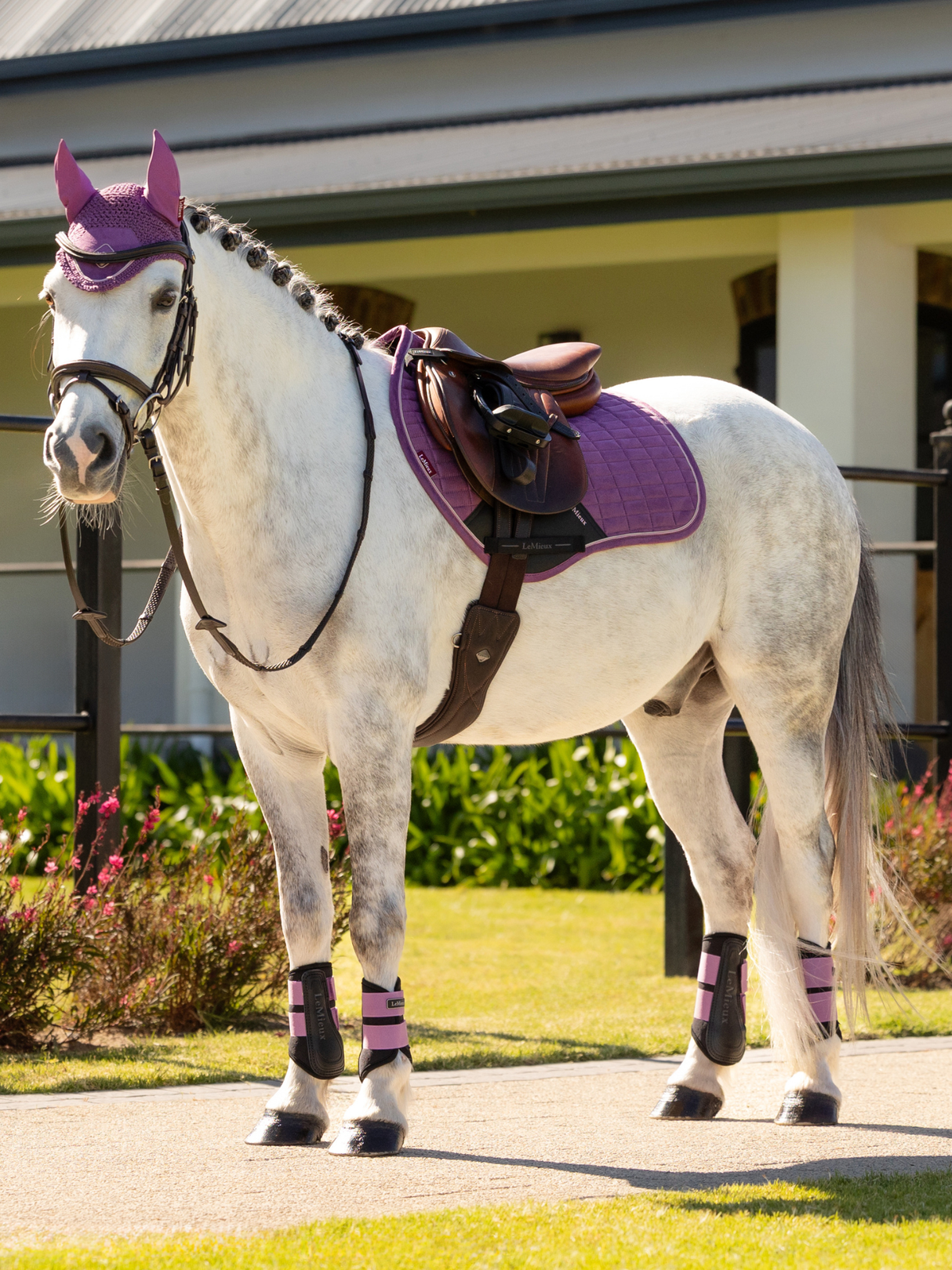LeMieux Mini Suede Close Contact Jump Square Saddle Pad Mallow