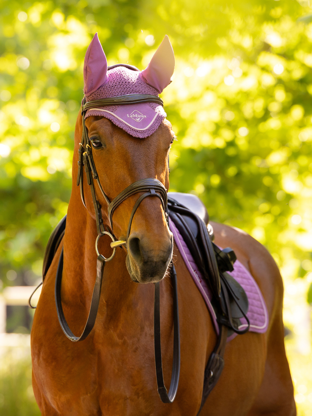 LeMieux Classic Fly Hood Mallow