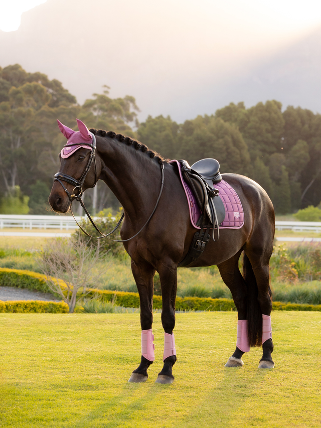 LeMieux Loire Dressage Saddle Pad Mallow