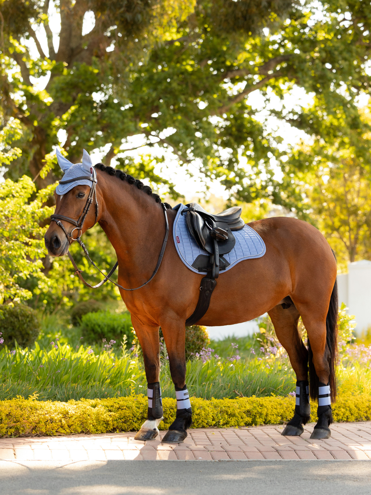 LeMieux Air-Tek Grafter Brushing Boots Powder Blue