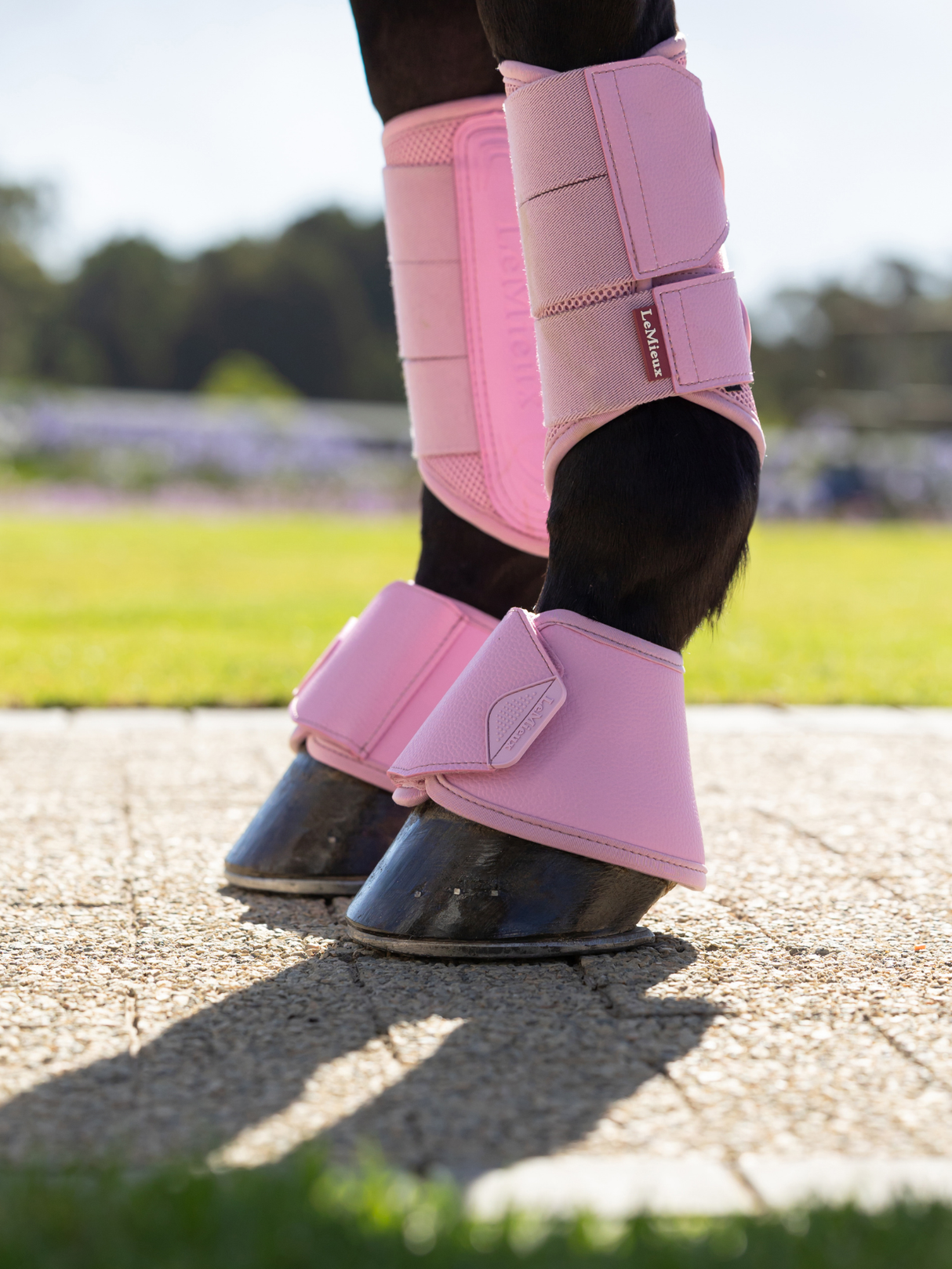 LeMieux Arika Over Reach Boots Fondant