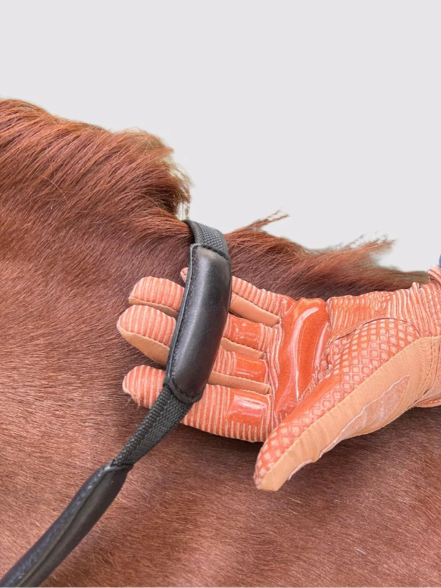 Correct Connect Comfort Connect Rein - Intermittent Padding for Equal Rein Length and Hand Support