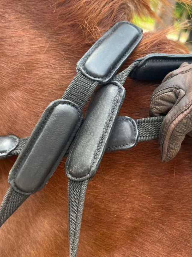 Correct Connect Comfort Connect Rein - Intermittent Padding for Equal Rein Length and Hand Support