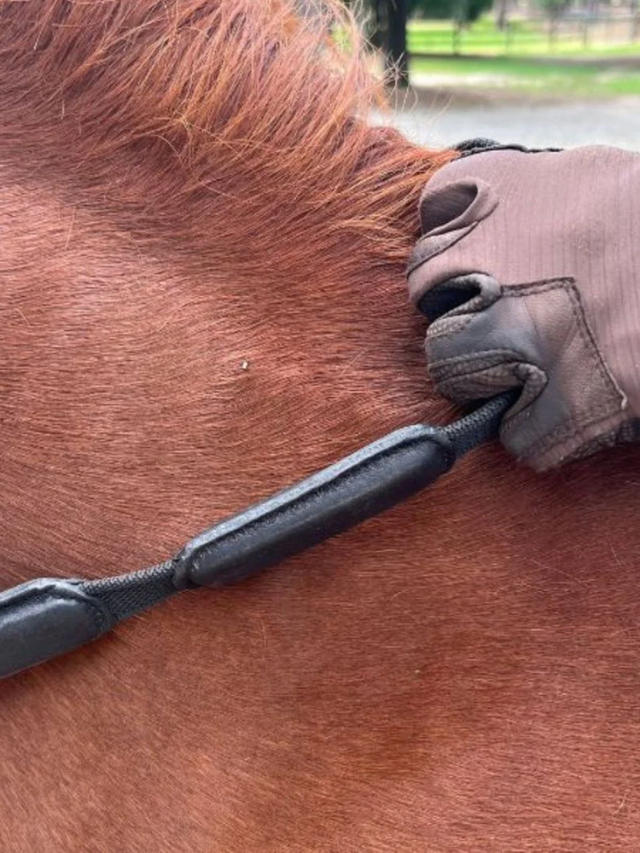 Correct Connect Comfort Connect Rein - Intermittent Padding for Equal Rein Length and Hand Support