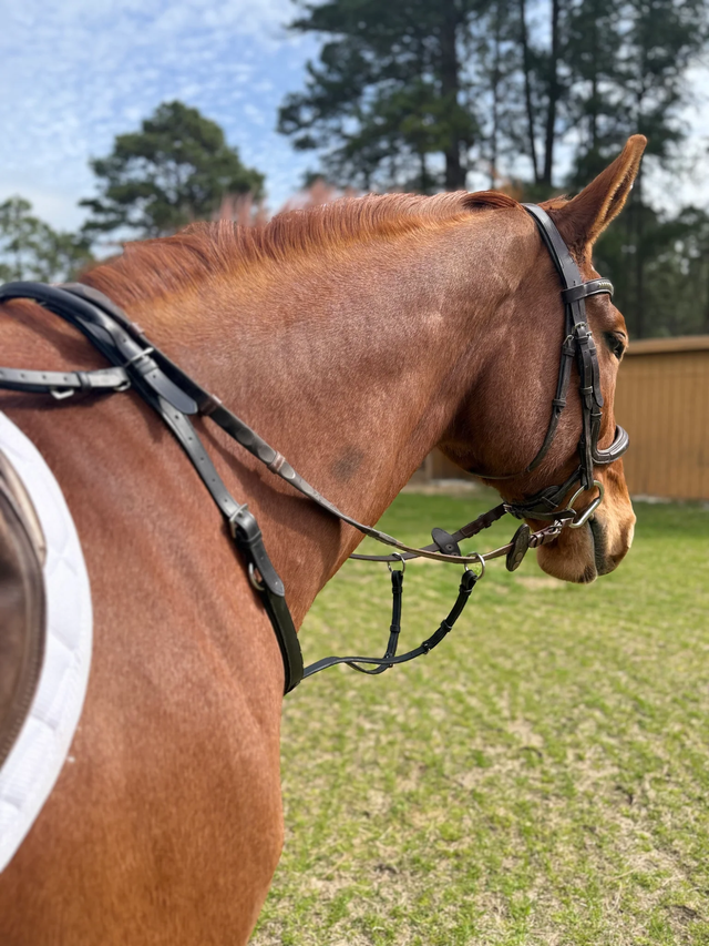 Correct Connect Running Martingale Add-On for Double Neck Strap
