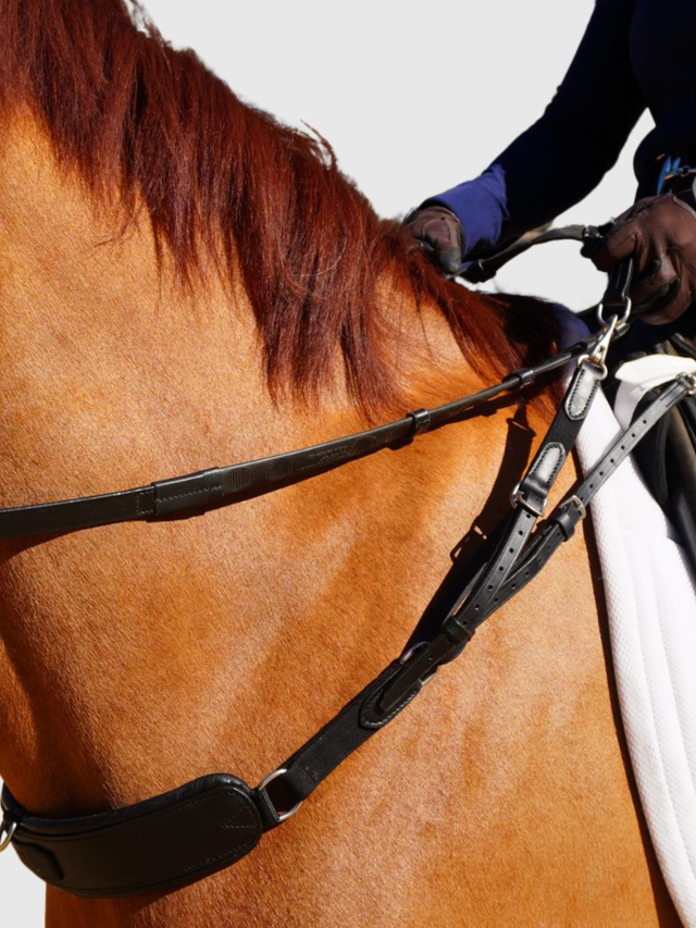 Correct Connect 3-in-1 Training Breastplate