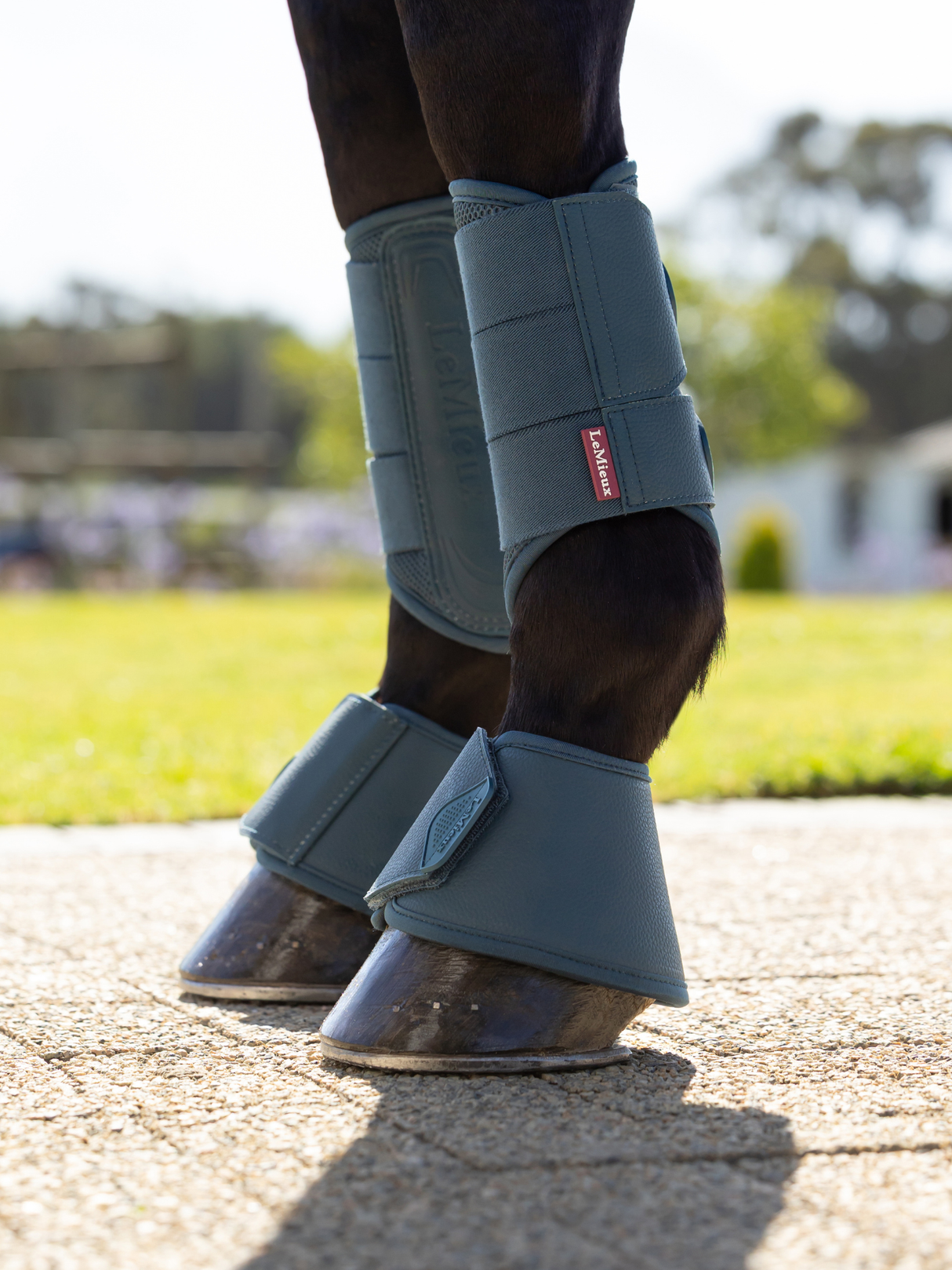 LeMieux Arika Over Reach Boots Jungle