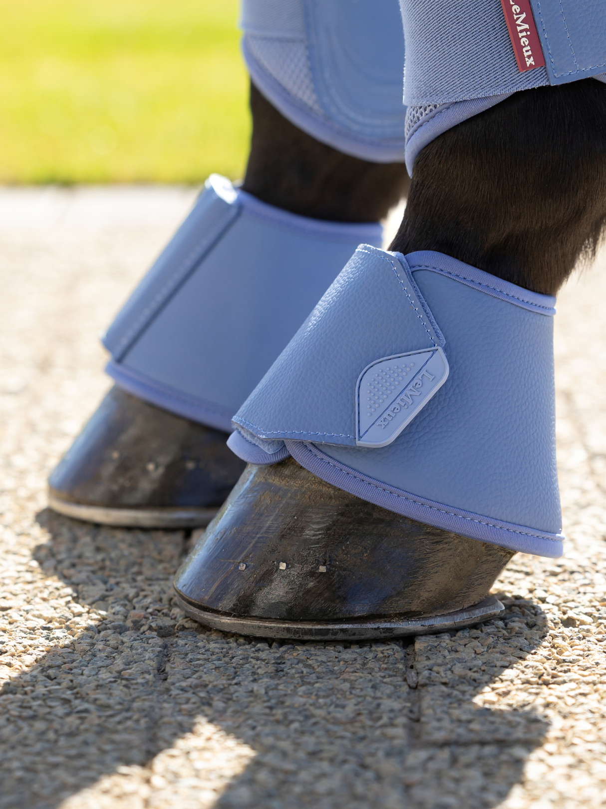 LeMieux Arika Over Reach Boots Powder Blue