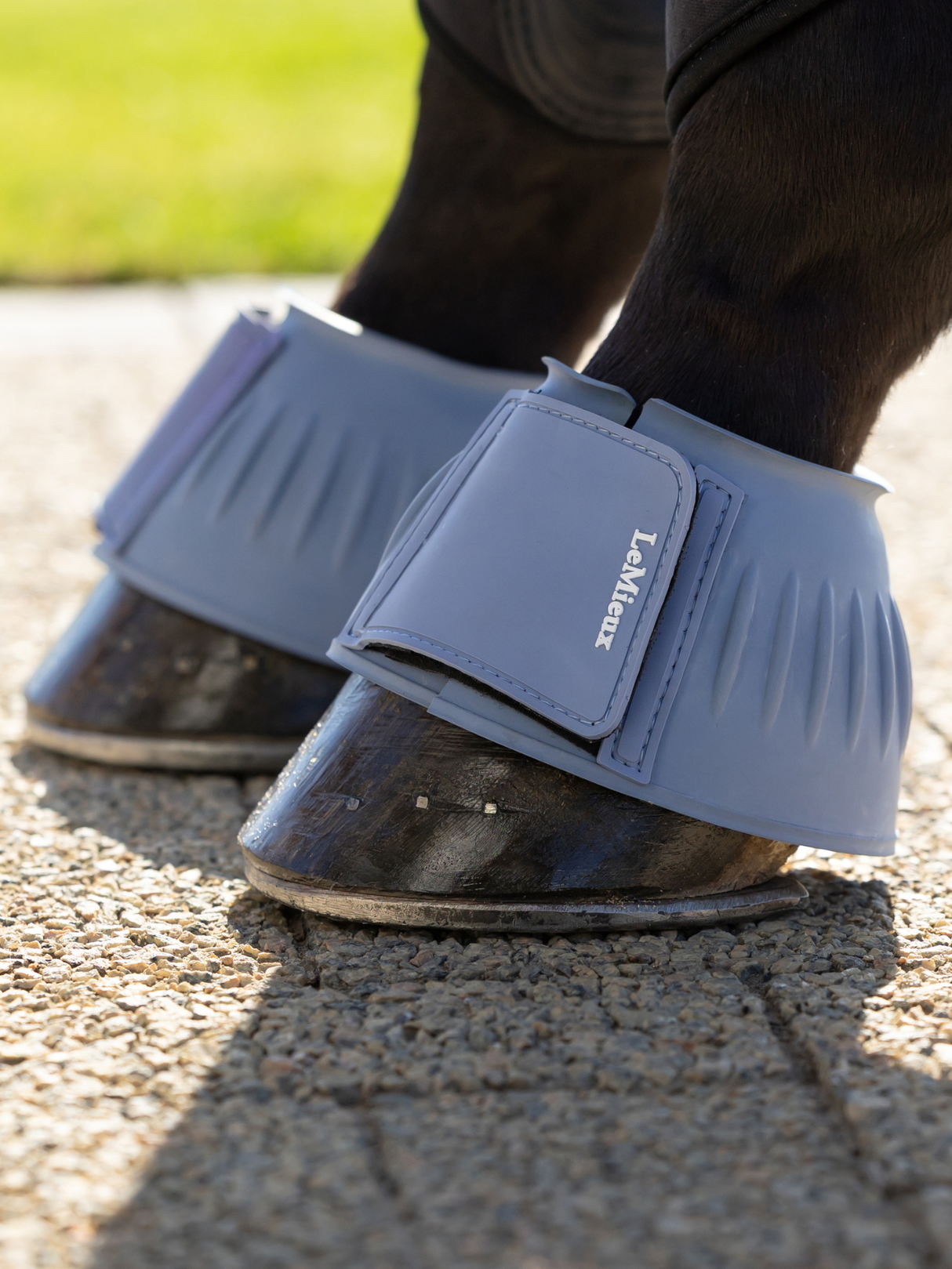 LeMieux Rubber Bell Boots Powder Blue