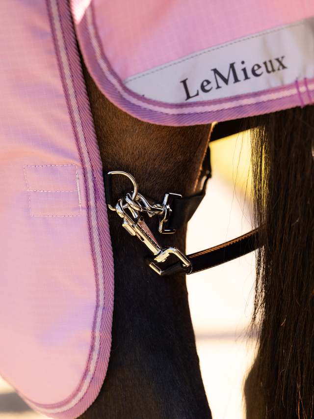 LeMieux Arika Ripstop 50g Turnout Rug Fondant