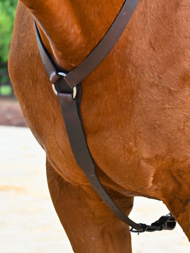 Correct Connect 3-Point Breastplate with Double Neck Strap