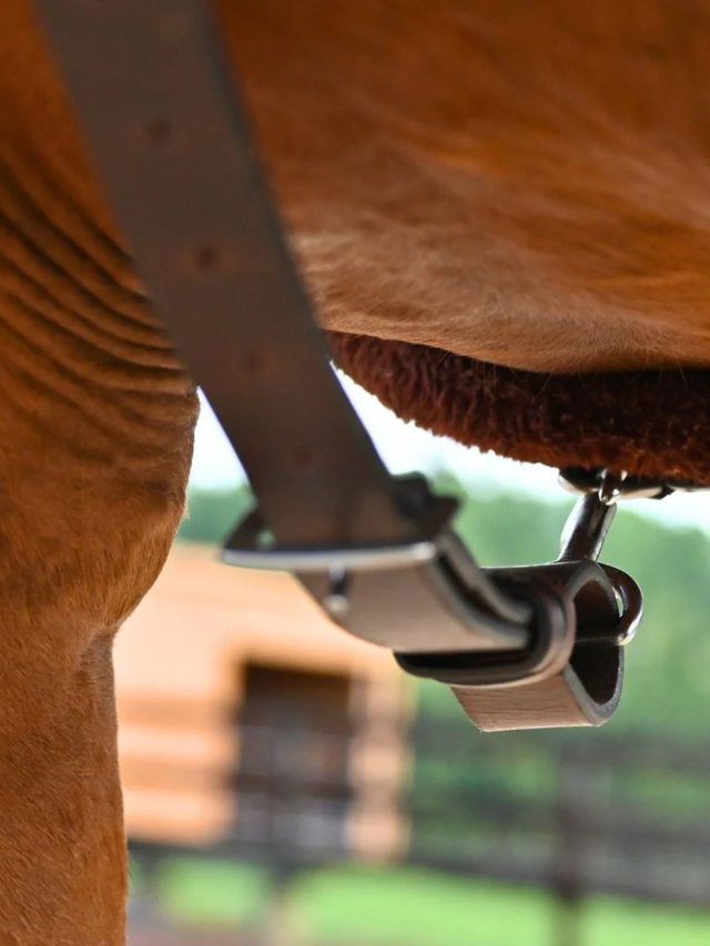 Correct Connect 3-Point Breastplate with Double Neck Strap