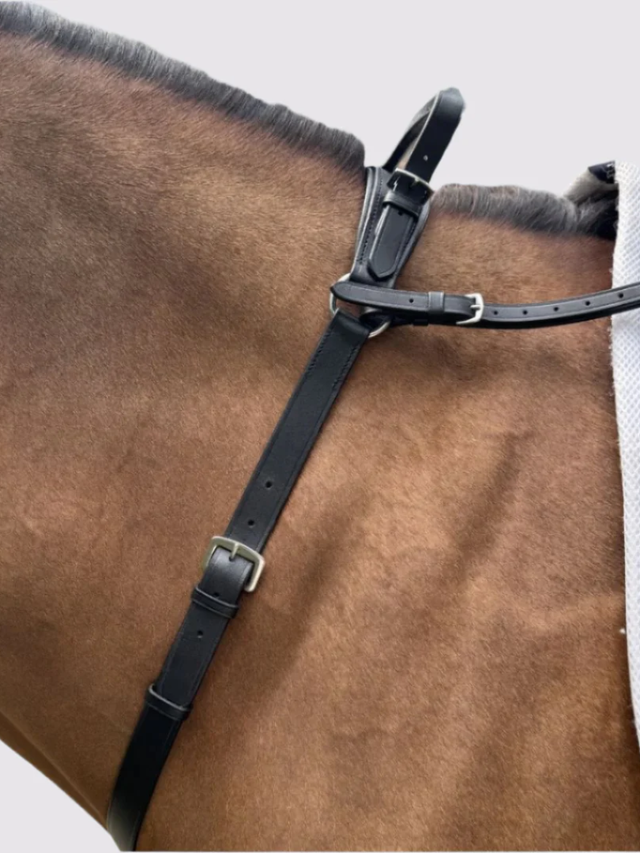 Correct Connect 3-Point Breastplate with Double Neck Strap