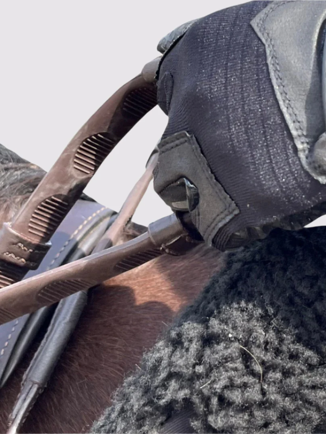 Correct Connect Thumb Grip Reins