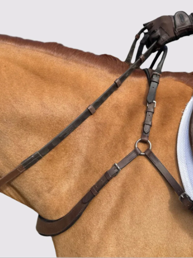 Correct Connect Free Motion Breastplate with Double Neck Strap