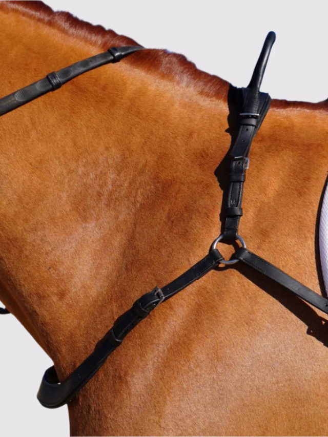 Correct Connect Free Motion Breastplate with Double Neck Strap