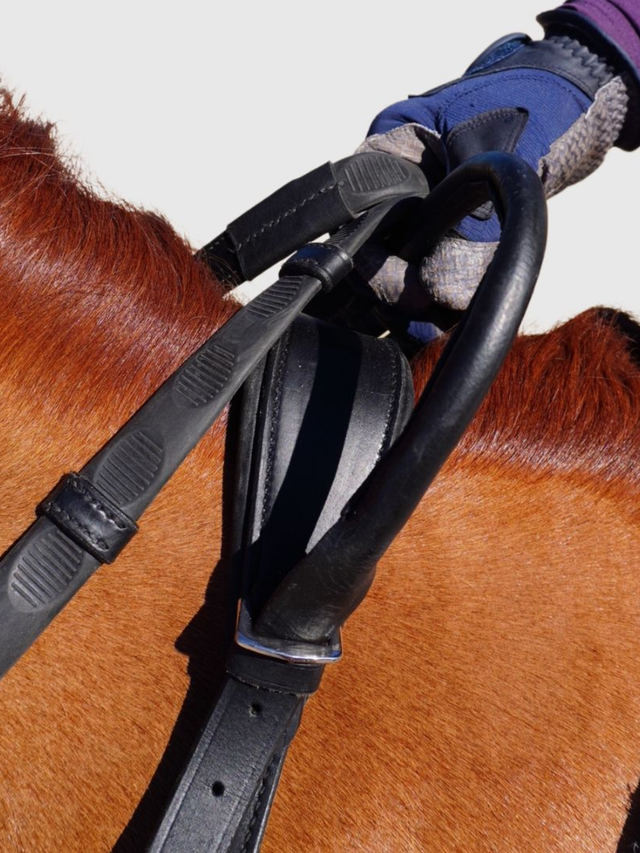 Correct Connect Free Motion Breastplate with Double Neck Strap