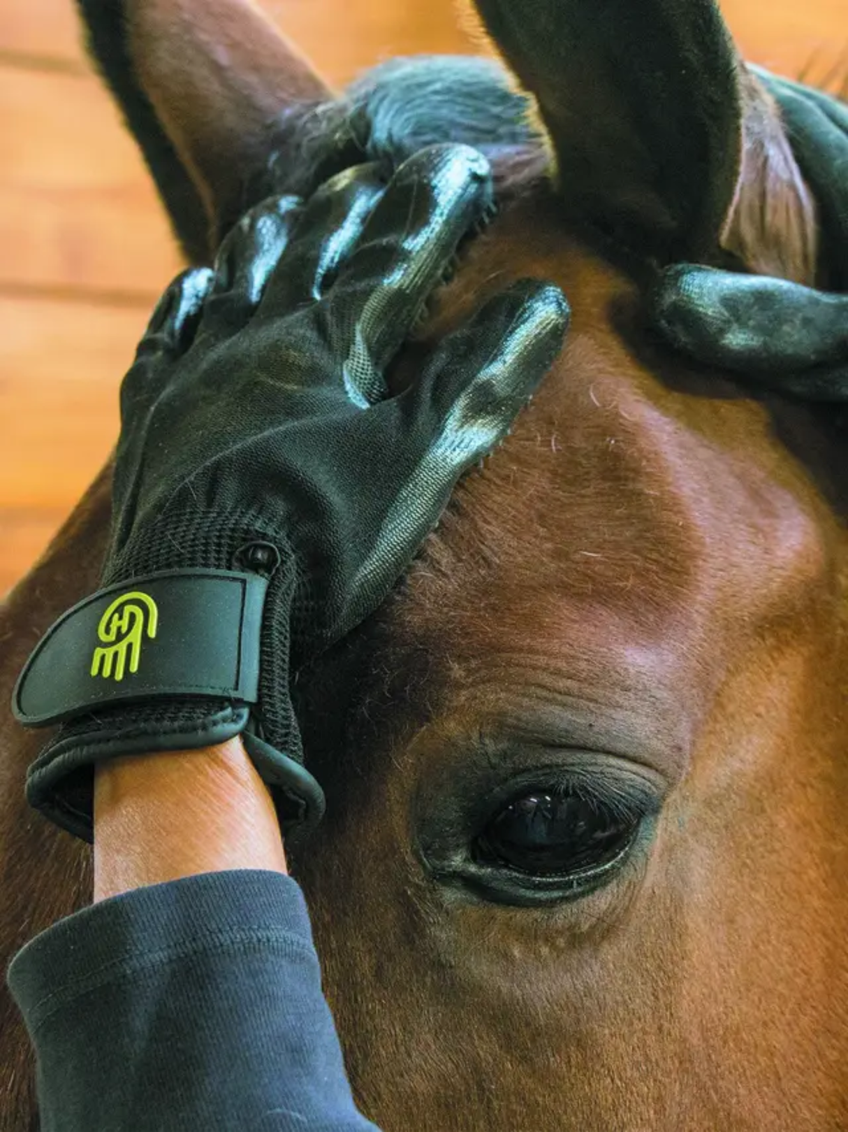 LeMieux Hands On Glove