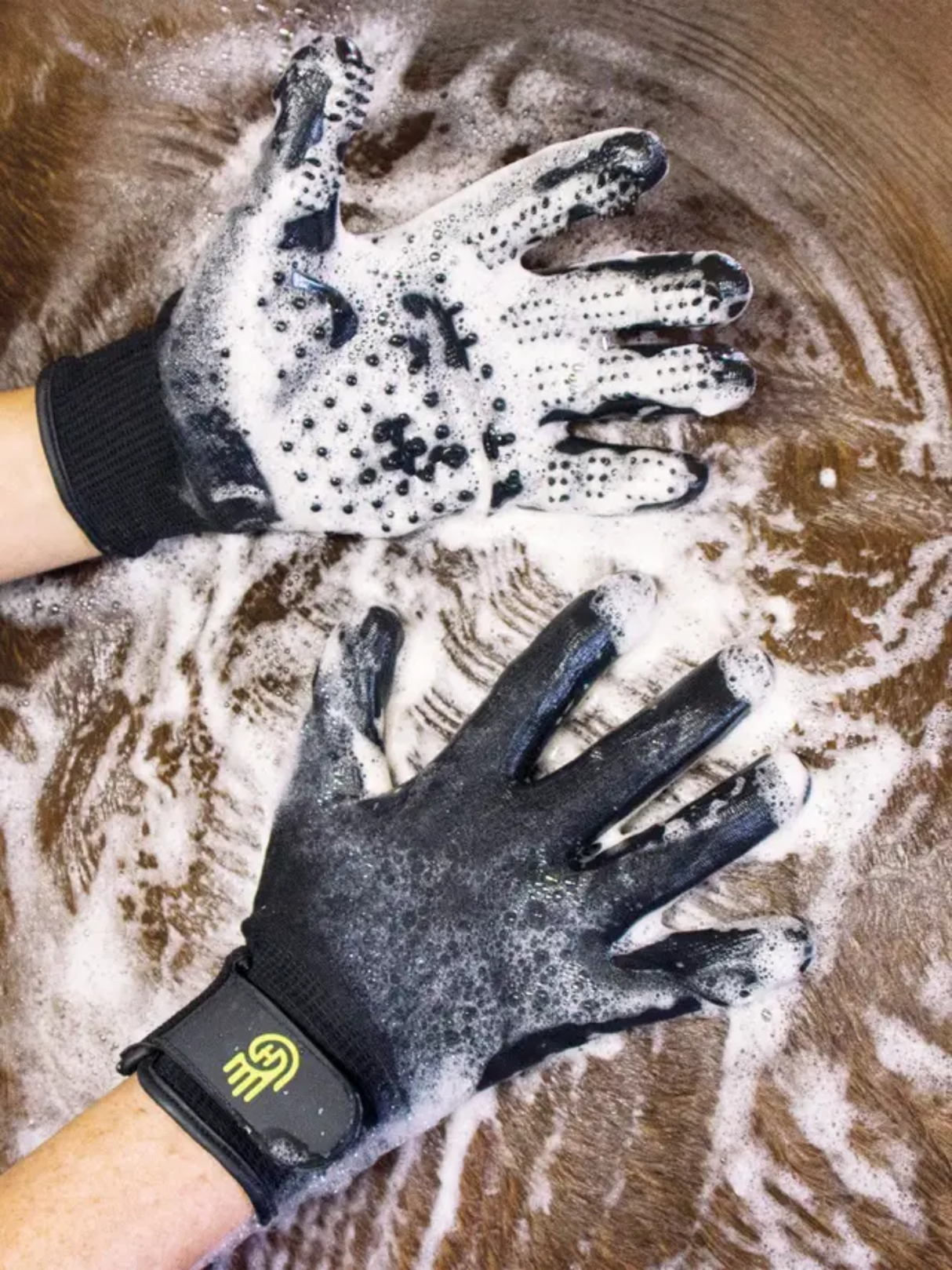 LeMieux Hands On Glove